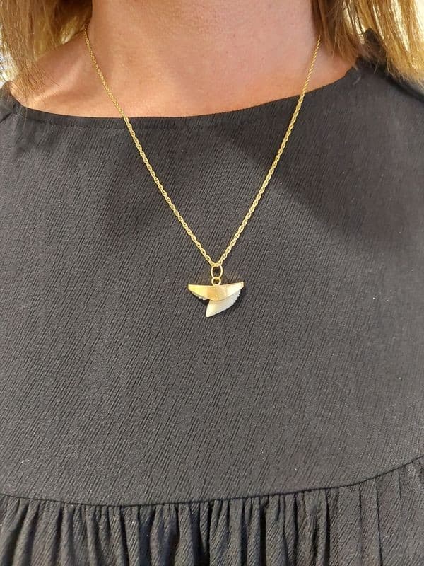PENDENTIF DENT DE REQUIN — vue 2