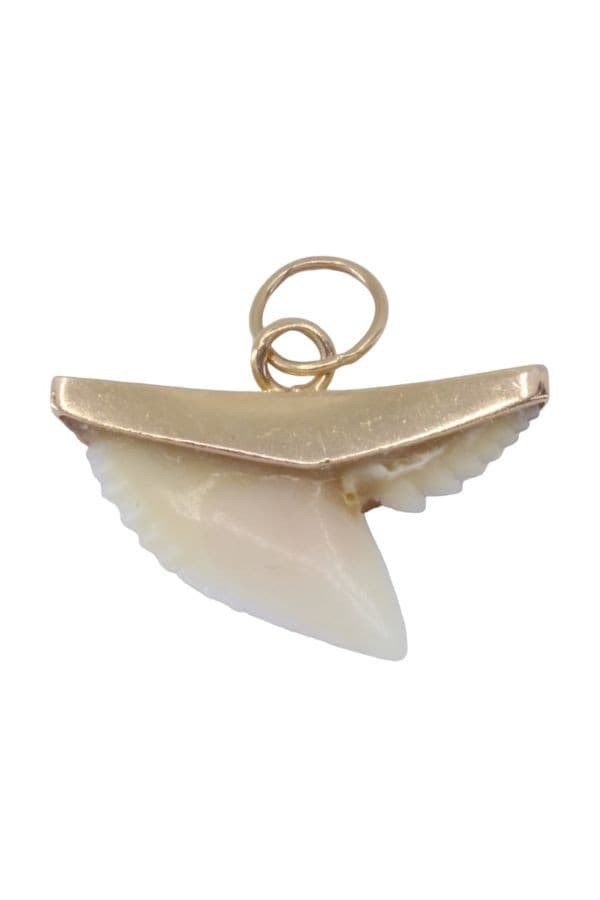 PENDENTIF DENT DE REQUIN — vue 3