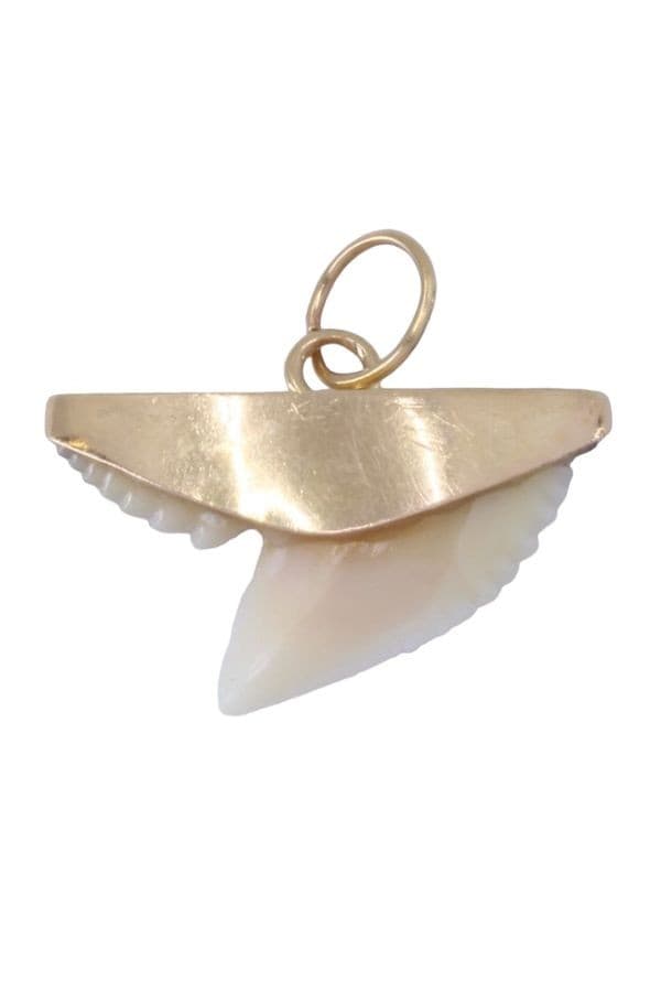 PENDENTIF DENT DE REQUIN — vue 1