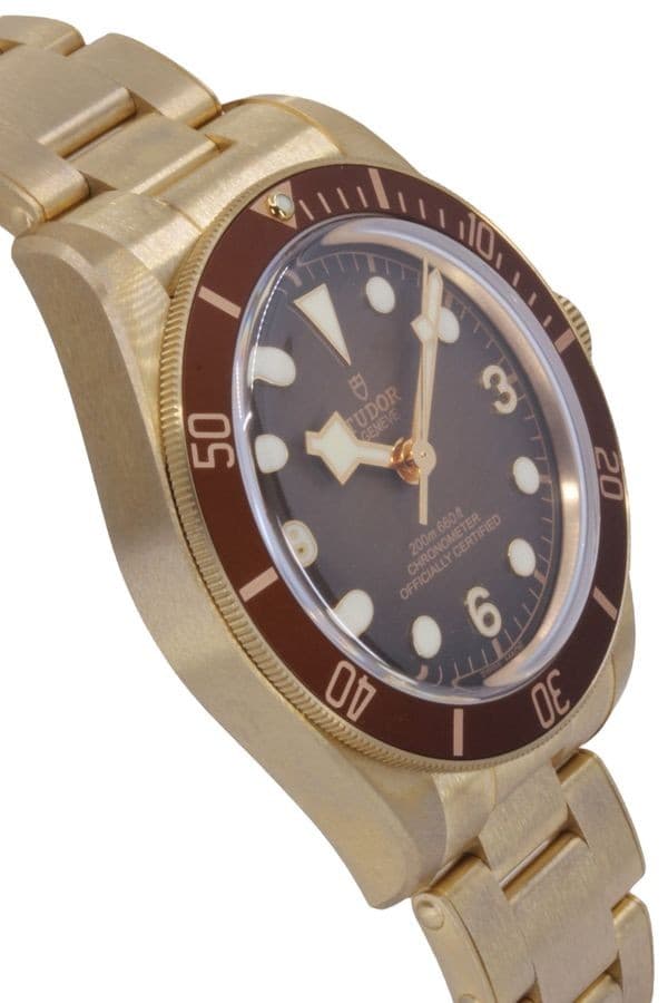 TUDOR BLACK BAY 58 BRONZE - FULL SET — vue 4