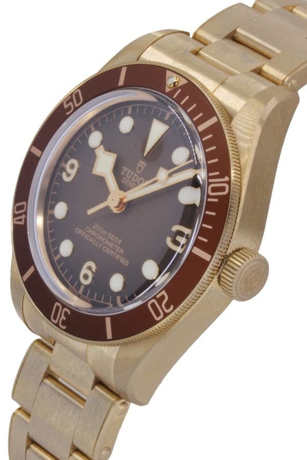 TUDOR BLACK BAY 58 BRONZE - FULL SET — vue 5