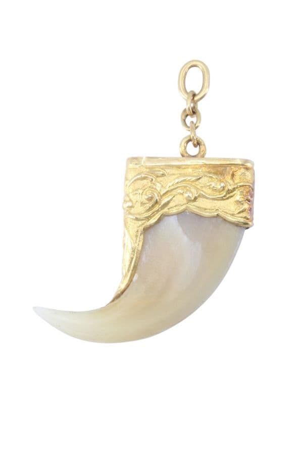 PENDENTIF GRIFFE DE TIGRE — vue 3