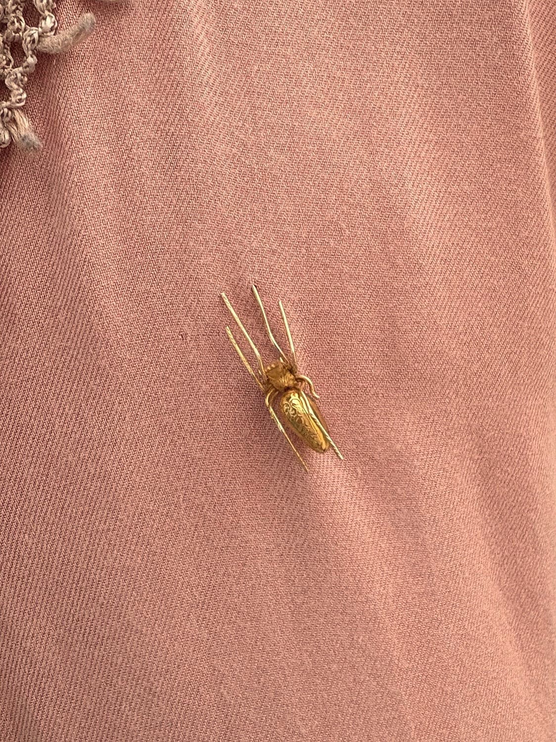 BROCHE ARAIGNÉE — vue 2