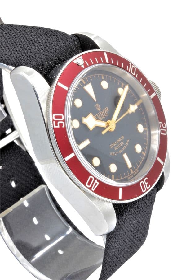 TUDOR HERITAGE BLACK BAY — vue 3