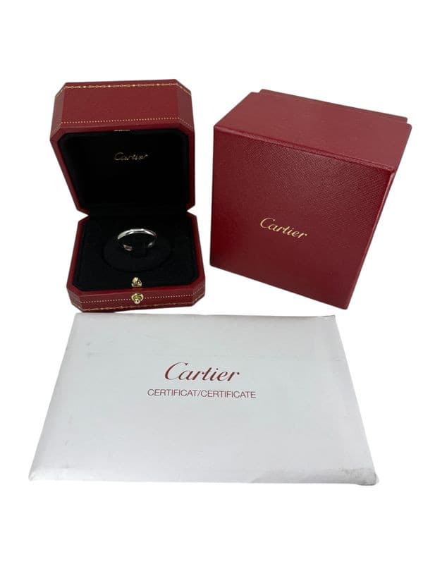 ALLIANCE CARTIER 1895 PLATINE — vue 5