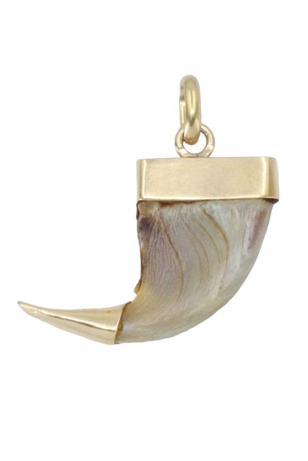 PENDENTIF GRIFFE DE TIGRE — vue 1