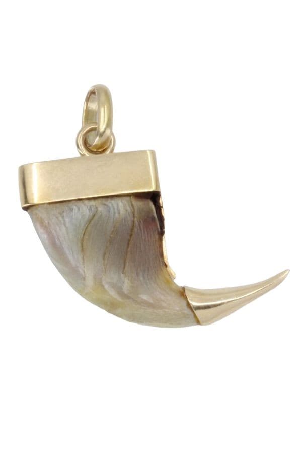 PENDENTIF GRIFFE DE TIGRE — vue 3