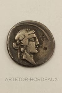 Denier Titia — vue 1