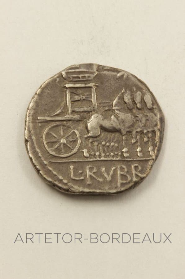 Denier Rubria lucius — vue 2