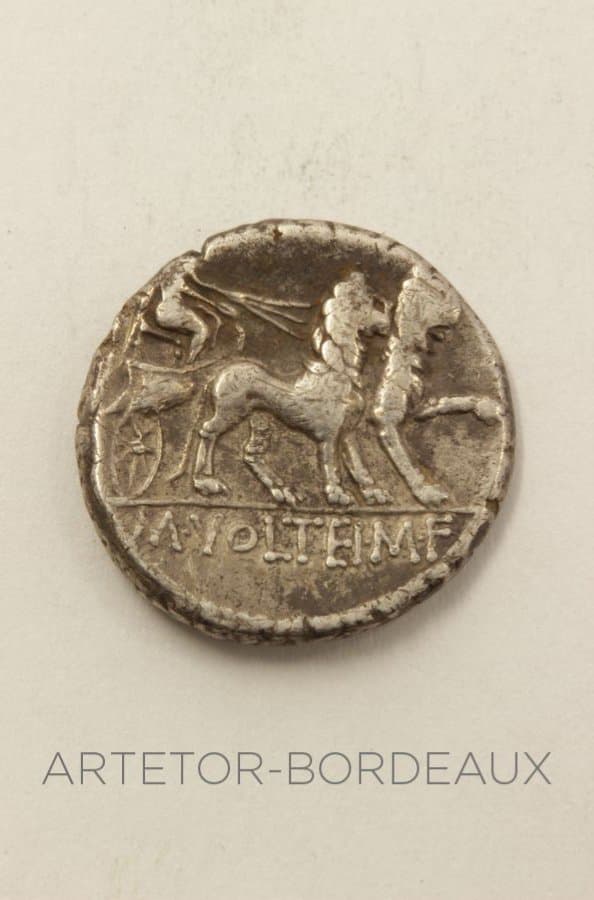 Denier Volteia — vue 2