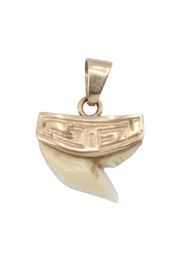 PENDENTIF DENT DE REQUIN — vue 1