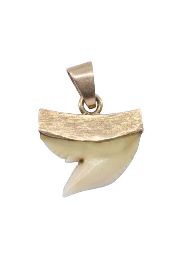 PENDENTIF DENT DE REQUIN — vue 2