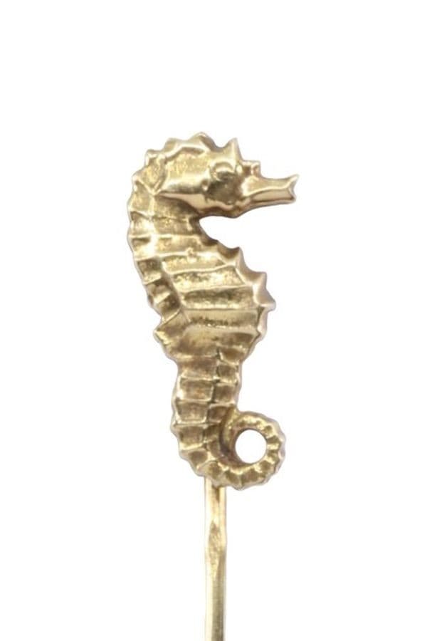 ÉPINGLE HIPPOCAMPE — vue 2